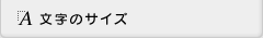文字サイズ